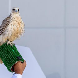 امتنان يماني تحول النجاح إلى قصص أدبية وأبطال واقعيون