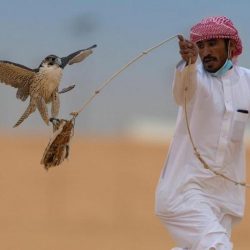 محافظ حفر الباطن يدشن حملة الانتساب لجمعية الثروة الحيوانية والتسويق التعاونية