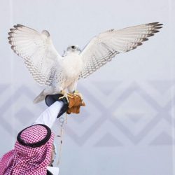 “القاضي” يرعى حفل تكريم الفرق التطوعية والمتطوعين
