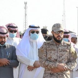 خادم الحرمين الشريفين أدوار قيادية وتاريخية في مسيرة العمل الخليجي وصون أمنه