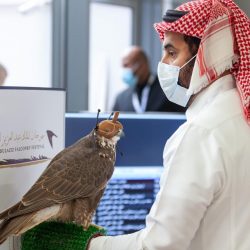 “الأمراض المشتركة بين الإنسان والحيوان” حملة إرشادية بيطرية في سوق الأنعام المركزي بجدة