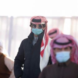 تبسيط البسيط لـ “هانديكاب” سباقات الخيل