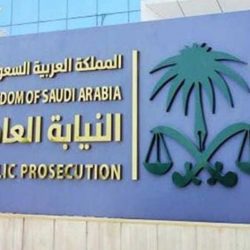 إتفاقية شراكة سعودية إماراتية لتطوير الشباب في الإعلام الجديد والمحتوى الرقمي