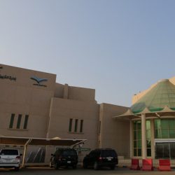 معرض “لقاء وفن” يتميز في محافظة الطائف