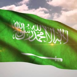 استعادة قرابة مليون متر مربع من أملاك الدولة في تبوك