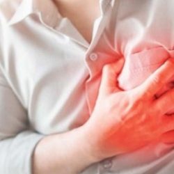 أمير تبوك المرأة السعودية شريك أساسي في تنمية الوطن