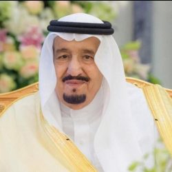 أكثر من ١٠٠٠ مشارك بدورة الكرتون الإلكتروني التعليمي الفني بثقافة وفنون الأحساء