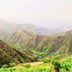 (جينا من الطائف) على مسرح ثقافة وفنون جدة