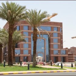 قوات الأمن البيئي تضبط أكثر من 2.3 طن من الحطب