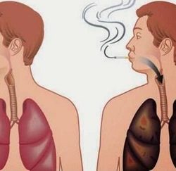 عبور أول قطري إلى المملكة عبر منفذ سلوى بعد إعادة تشغيله