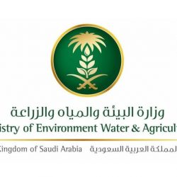 أسراب من الجراد تداهم مزارع عدة قرى بمحافظات منطقة جازان
