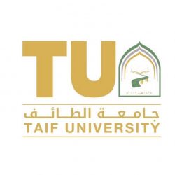 القبض على 6 وافدين ارتكبو عدد من الجرائم
