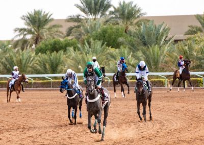 نادي سباقات الخيل يصدر قائمةً مبدئيةً لكأسي خادم الحرمين الشريفين لخيلي لإنتاج المحلي والمفتوح