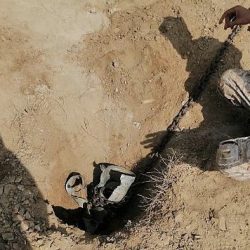 سمو الأمير محمد بن عبدالعزيز يعزي بوفاة الدكتور الشعبي والشيخ المالكي