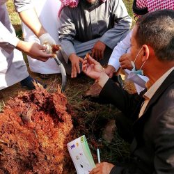 العقدي يحتفل بعقد قرانه على ابنه مصعود إدريس العبسي