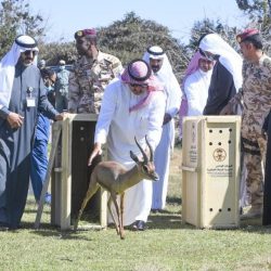 وكيل الأحوال المدنية يتلقى الجرعة الأولى من لقاح كورونا
