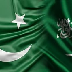 نزاهة تباشر 7 قضايا وتكشف عن صدور 7 أحكام قضائية بحق مدانين