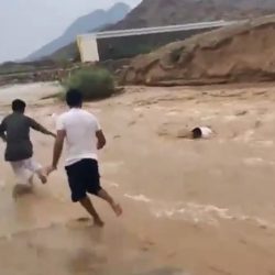 ظهور حيتان قاتلة في بحر مركز دوقة بالقنفذة