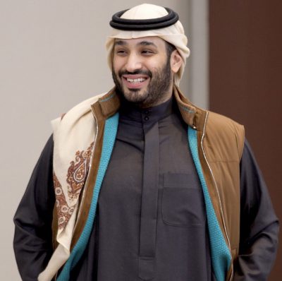 محمد عز الوطن