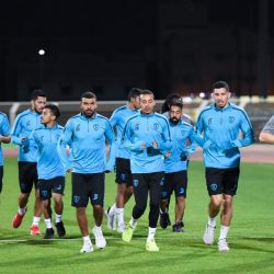 “البيئة” تكافح الجراد في الطائف وتدعو للإبلاغ عن التجمعات