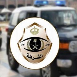 سمو أمير منطقة جازان وسمو أمير منطقة عسير يبحثان احتياجات الأهالي الخدمية والتنموية