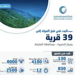 القبض على متحرشة الرياض