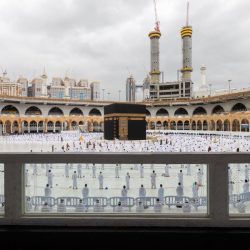 تزايد في اعداد الحالات اليومية لفيروس كورونا