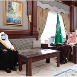 تطوير الخدمات وجذب الاستثمارات من اولويات سار بعد الدمج
