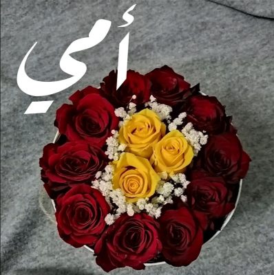 أمي جنة الدنيا ورضاها