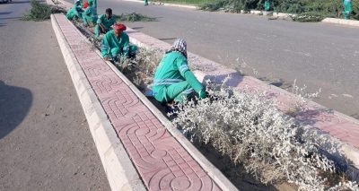 بلدية صبيا تزرع 800″ شتلة زراعية في حزام المحلة غوان