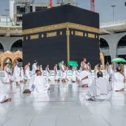 فريق طبي بمستشفى أبوعريش ينجح في إنقاذ حياة رضيع أصيب بانسداد معوي حاد
