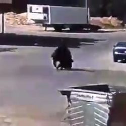 الإصدار الجديد “لتوكلنا” يُتيح تزكية المسجلين الجدد دون الرجوع إلى أبشر