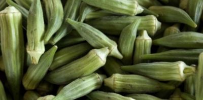 البامية تساعد في تقليل الكوليسترول بالدم