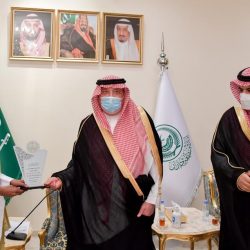 خبراء: السعودية مؤهلة لقيادة المنطقة في الطاقة المتجددة