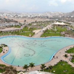 آل الشيخ : قرار ضبط مكبرات الصوت في المساجد سيطبَّق “بحذافيره”