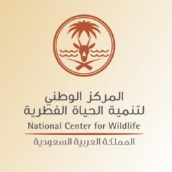 إحباط تهريب مشغولات ذهبيه