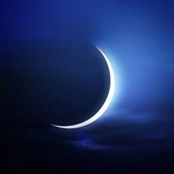 الجدعان: دمج الزكاة والدخل والجمارك سيعزز الجانب الأمني ويسهل الإجراءات