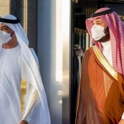 ما سر اختيار المملكة “البنفسجي” لوناً لسجاد مراسم استقبال كبار الضيوف والزائرين؟