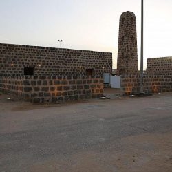 جزيرة تاروت و دارين ، حضارةٌ وتاريخٌ عريقٌ