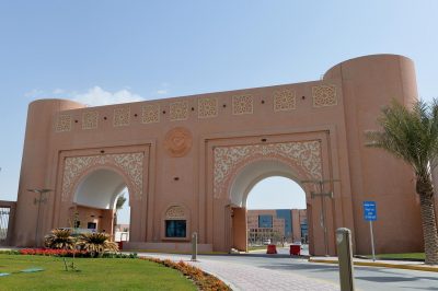 مقال بحثى لجامعة الملك فيصل ينشر بمجلة نيتشر (nature)