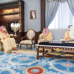 بينها سلب أموال.. “الأمن العام” يستعرض إلقاء القبض على مُرتكبي عدة جرائم
