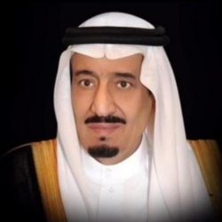 “حصاد المانجو في القنفذة”.. إنتاج يتجاوز 40 ألف طن و400 ألف شجرة