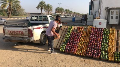 في أسبوع.. بلدية صبيا تضبط 11 ألف كيلو من فاكهة المانجو لعمالة مخالفة
