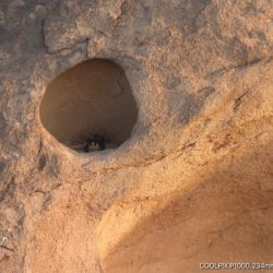 سمو أمير منطقة الباحة يدشن فعاليات اليوم العالمي لمكافحة المخدرات 2021 سمو أمير منطقة الباحة يدشن فعاليات اليوم العالمي لمكافحة المخدرات 2021