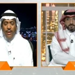 وزير الرياضة: ملاعب هذه الاندية ستتحول الى “ستادات” رياضية