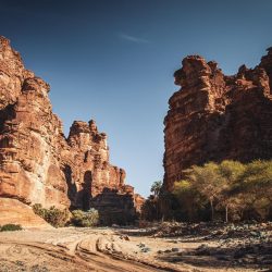 كيف تعيش جو الرفاهية؟ مدينة الملك عبدالله الاقتصادية الوجهة