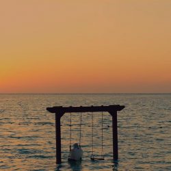 تمديد تكليف “هندي” مديراً لمستشفى فهد بجازان تمديد تكليف “هندي” مديراً لمستشفى فهد بجازان