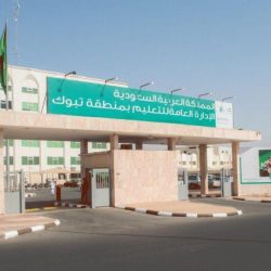مسام ينتزع أكثر من 2000 لغم في اليمن خلال أسبوع