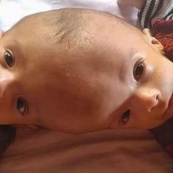 مدير ‎تعليم صبيا يصدر قرارًا إداريًا بتكليف الدكتور علي بن ناصر جده رئيسا لقسم أمانة التعليم بصبيا