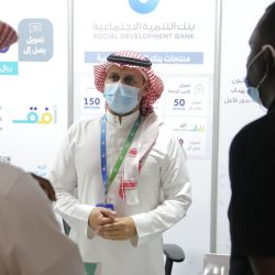 الفنانة ولاء جمال: اللوحات الابداعية ترتقي بالذوق العام وتضفي بهجة